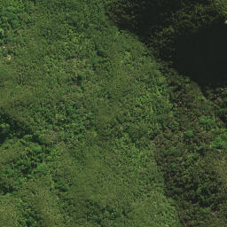 Satellite imagery of H NO 2, NZ
