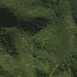 Satellite imagery of H NO 2, NZ