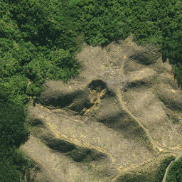 Satellite imagery of 1577 SO 54963, NZ