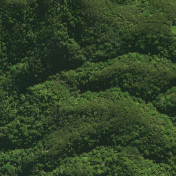 Satellite imagery of H NO 2, NZ