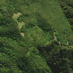 Satellite imagery of H NO 2, NZ