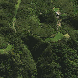 Satellite imagery of H NO 2, NZ