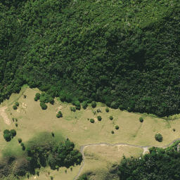 Satellite imagery of 2831, NZ