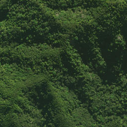 Satellite imagery of H NO 2, NZ