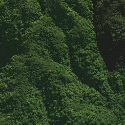 Satellite imagery of H NO 2, NZ