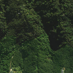 Satellite imagery of H NO 2, NZ