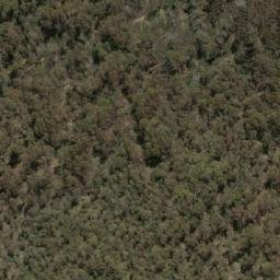 Satellite imagery of SMA 1009, AU