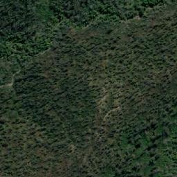 Satellite imagery of Mount Coman, AU
