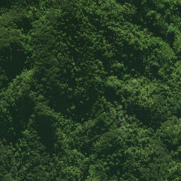 Satellite imagery of 1579 NO 2 SO 54210, NZ