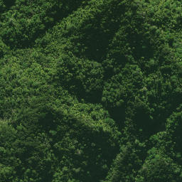 Satellite imagery of 1579 NO 2 SO 54210, NZ