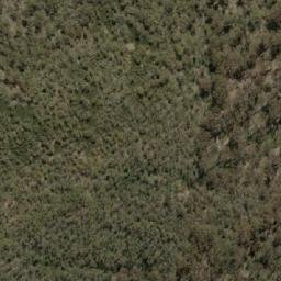 Satellite imagery of SMA 1009, AU