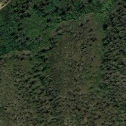 Satellite imagery of Mount Coman, AU