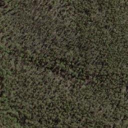 Satellite imagery of Sma 0337, AU