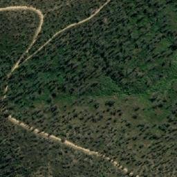 Satellite imagery of Mount Coman, AU