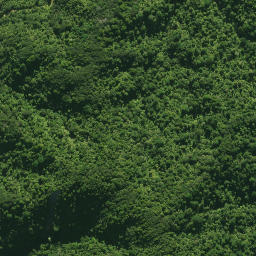 Satellite imagery of 1578 CATTLEMOUNT, NZ