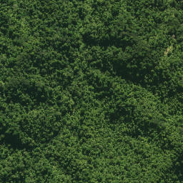 Satellite imagery of 1578 CATTLEMOUNT, NZ