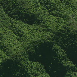 Satellite imagery of 1578 CATTLEMOUNT, NZ