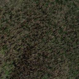 Satellite imagery of Mount Burrowa, AU
