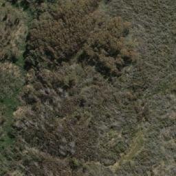Satellite imagery of Mount Toolong, AU