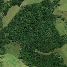 Satellite imagery of 1021, NZ