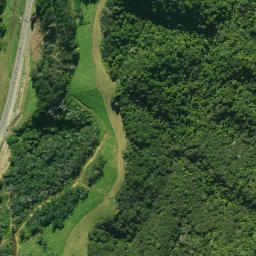 Satellite imagery of Coates Memorial, NZ