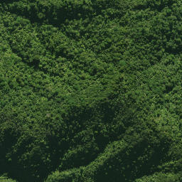 Satellite imagery of 1578 CATTLEMOUNT, NZ