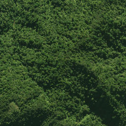 Satellite imagery of 1578 CATTLEMOUNT, NZ
