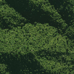 Satellite imagery of 1578 CATTLEMOUNT, NZ