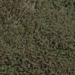 Satellite imagery of Wood Duck Point, AU