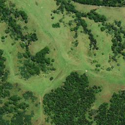 Satellite imagery of 1021, NZ