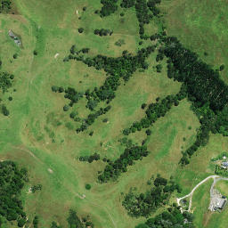 Satellite imagery of 1021, NZ