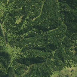 Satellite imagery of 2821, NZ