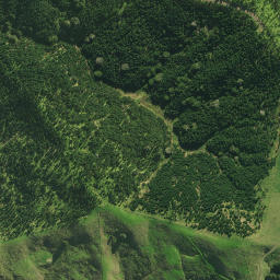 Satellite imagery of 2821, NZ