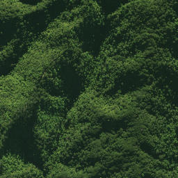Satellite imagery of 1578 CATTLEMOUNT, NZ