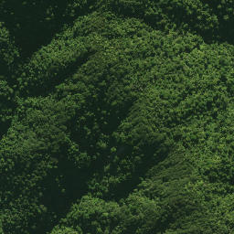 Satellite imagery of 1578 CATTLEMOUNT, NZ