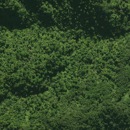 Satellite imagery of 1578 CATTLEMOUNT, NZ