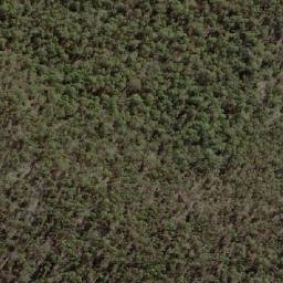 Satellite imagery of Wood Duck Point, AU