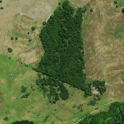 Satellite imagery of 3A NO 2, NZ