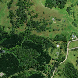 Satellite imagery of 1021, NZ