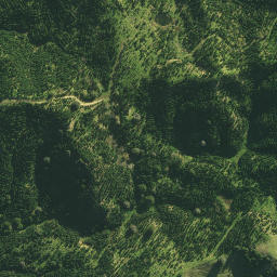 Satellite imagery of 2821, NZ