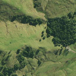 Satellite imagery of 2821, NZ