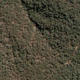 Satellite imagery of Mount Firebrace, AU
