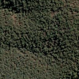 Satellite imagery of Mount Firebrace, AU