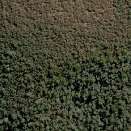 Satellite imagery of Mount Firebrace, AU