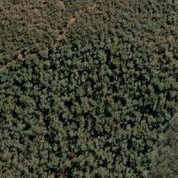 Satellite imagery of Mount Firebrace, AU