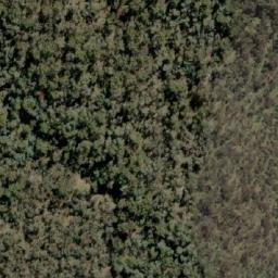 Satellite imagery of Mount Firebrace, AU