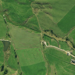 Satellite imagery of D (Waipu SD), NZ