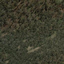 Satellite imagery of Black Mountain, AU