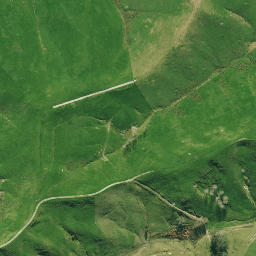 Satellite imagery of G NO 2, NZ