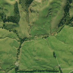 Satellite imagery of D (Waipu SD), NZ